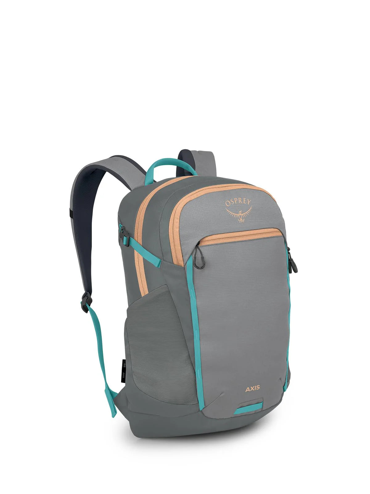 Osprey Axis 24 Backpack Pine Leaf Green